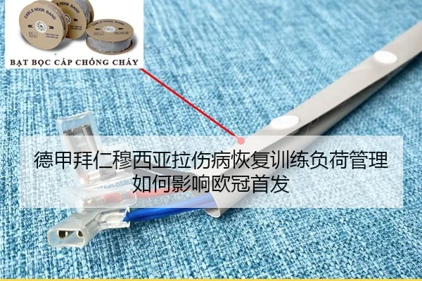 de-jia-bai-ren-mu-xi-ya-la-shang-bing-hui-fu-xun-lian-fu-he-guan-li-ru-he-ying-xiang-ou-guan-shou-fa-2-887.jpg